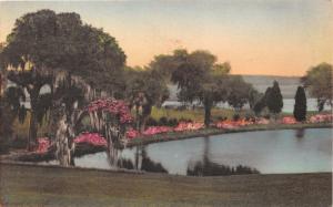 CHARLESTON SCMIDDLETON PLACE GARDENS~ALBERTYPE HAND COLORD LANNEAU'S POSTCARD