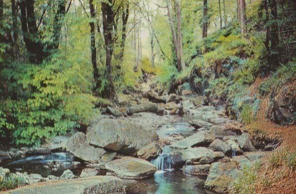 Ballaglass Glen Isle Of Man Postcard