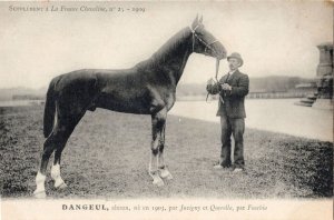 Dangeul La France Chevaline 1903 Race Horse & Trainer Old Postcard