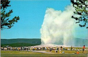 Yellowstone National Park Old Faithful Geyser