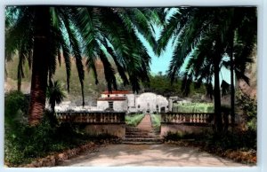 RPPC Jardines de Alfabia Detalle MALLORCA Spain Postcard