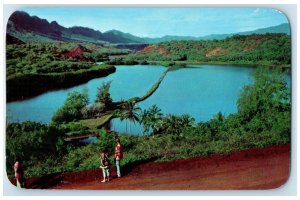 c1950 Alakoke Fishpond Over Looking Lake Grove Kauai Hawaii HI Unposted Postcard