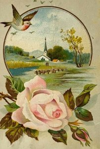 c.1880s Victorian Trade Card Lovely Pink Rose Bird Church Steeple