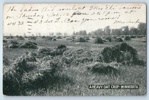 1920 Farming Scene Field A Heavy Oat Crop Minnesota Minneapolis MN Postcard