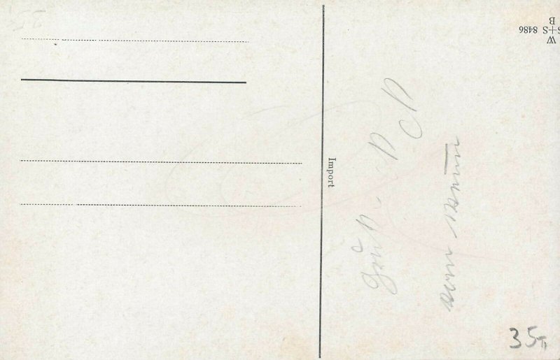 Pentecost beetle bugs tree comic dwarfs gnomes fantasy early postcard