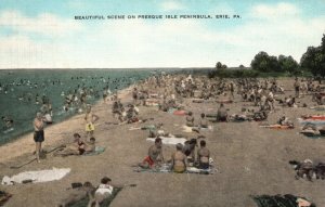 Vintage Postcard 1956 Beautiful Scene Presque Isle Peninsula Erie Pennsylvania