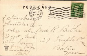 Vtg 1909 Riverside Drive and Hudson River New York NY Postcard