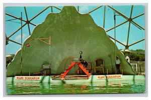 Vintage 1960's Postcard Sparky the Sea Lion Seaquarium Miami Florida