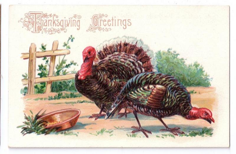 Thanksgiving Greetings Turkeys Embosssed Postcard