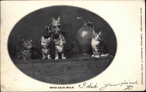 J Bordeaux Cute Kittens Kitty Cats with Antique Jug c1910 Vintage Postcard