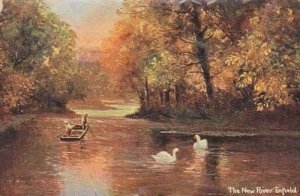 Enfield New River Middlesex Antique Swan Lake Boat Postcard