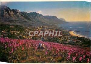 Modern Postcard Among the watsonias Growing wild on the Slopes of Lions Head ...