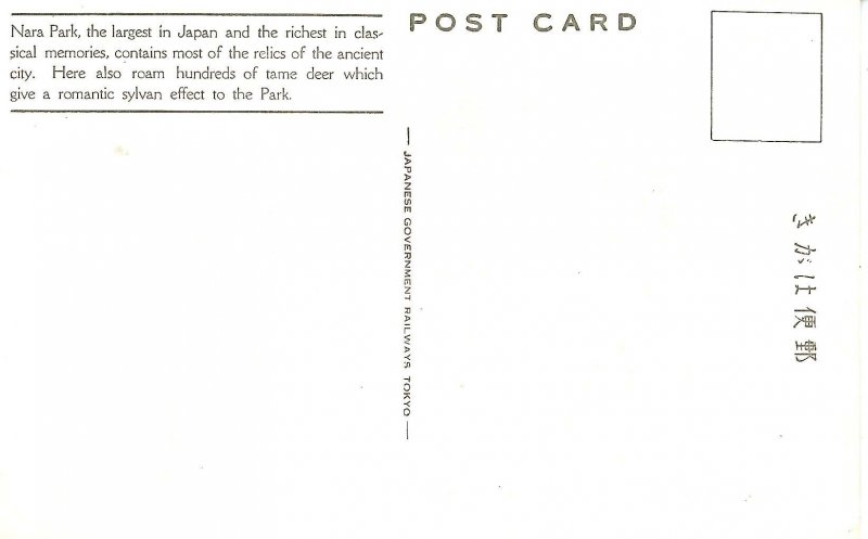 Japan - Nara. Deer Park