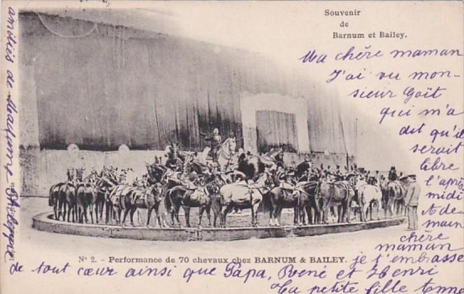 Circus Barnum & Bailey Performing Horses 1905