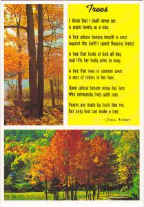 Trees Poem By Joyce Kilmer