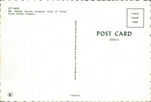 USA Mt. Hood Oregon Vintage Postcard BS.06