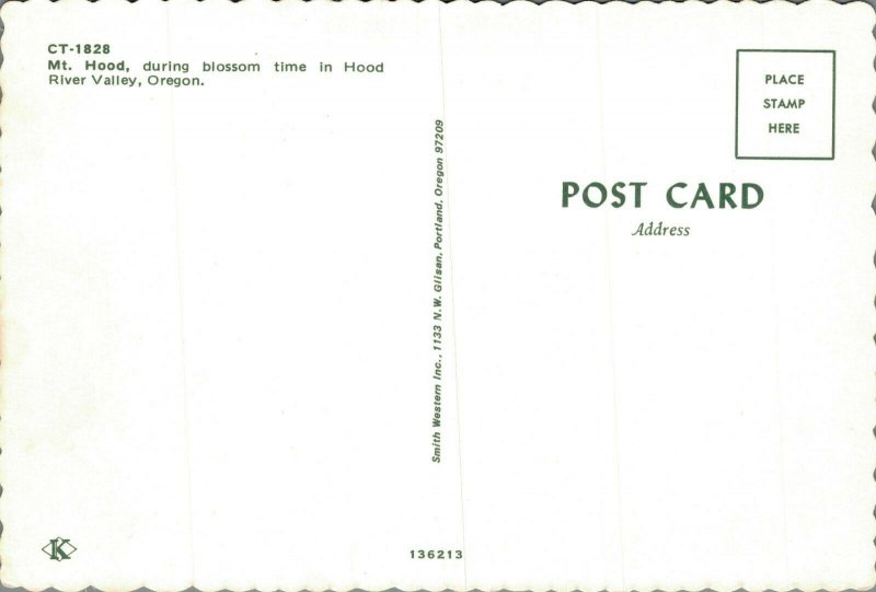 USA Mt. Hood Oregon Vintage Postcard BS.06
