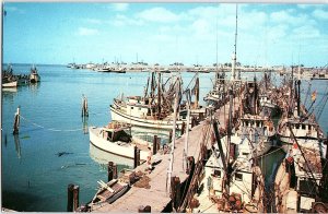 Chrome BOATS SCENE Key West Florida FL AH7198