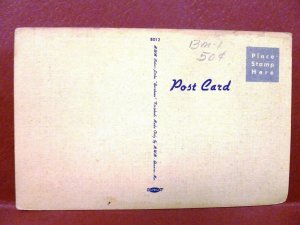 Postcard MO Greetings from Mindenmines #2