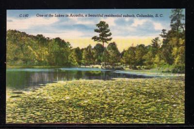 South Carolina colour Lake in Arcadia suburb Columbia, unused