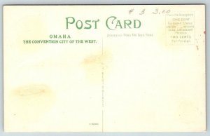 Omaha  Nebraska  Slide in Hanscom Park   Postcard