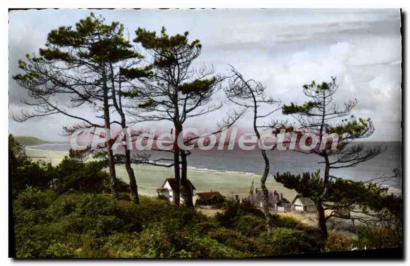 Modern Postcard Blonville sur mer Calvados dimension through the pines