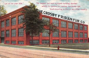 Rochester, NY New York CROSBY FRISIAN FUR CO Taxidermy Advertising 1911 Postcard