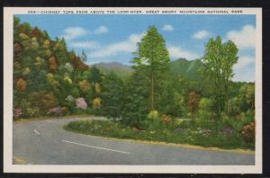 Chimney Tops Above Loop-Over Great Smoky Mountains National Park  unused