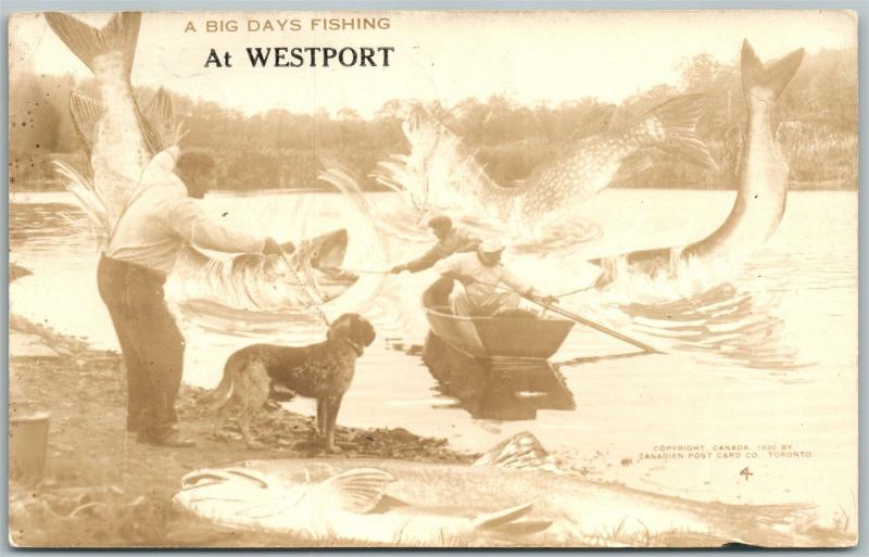 WESTPORT CANADA FISHING EXAGGERATED VINTAGE REAL PHOTO POSTCARD RPPC