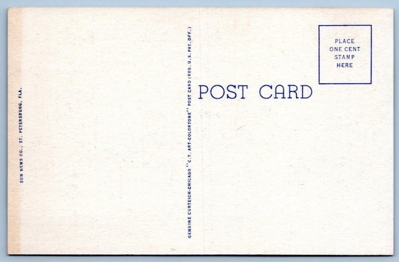 1940-50's GREETINGS FROM CLEARWATER FLORIDA VINTAGE LARGE LETTER LINEN POSTCARD