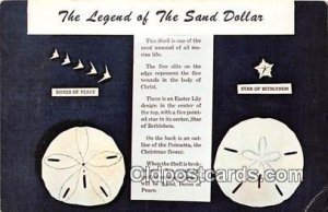 Legend of the Sand Dollar Mellita Testudinata, Holy Goast Shell Seashells Unu...