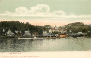 UDB Postcard; The Weirs, Laconia NH, Lake Winnipesaukee, Unposted XLNT