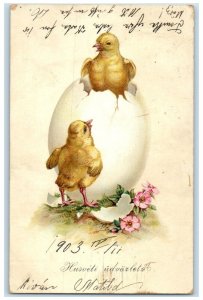 1903 Easter Baby Chicks In Hatched Egg Flowers Hungary Posted Antique Postcard