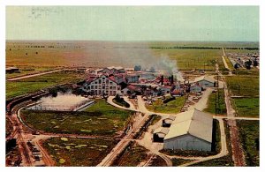 Postcard FACTORY SCENE Clewiston Florida FL AU6952