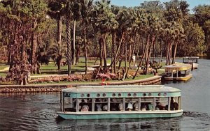 New-Glass Bottom Boats Silver Springs, Florida