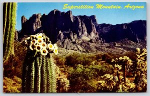 Arizona~View Of Superstition Mountain & Cacti In The Desert~Petley~Vintage PC