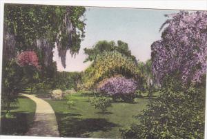 Walk Through The Gardens Kenilworth Lodge Sebring Florida Albertype