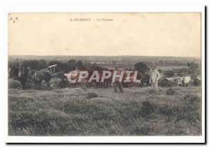 Berry Old Postcard The harvest TOP (agriculture trades)