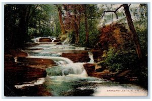 c1910's The Glen River Waterfalls Branchville New Jersey NJ Antique Postcard