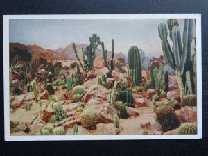 London KEW - CACTUS at ROYAL BOTANICAL GARDENS c1931 Postcard by Hudson & Kearns