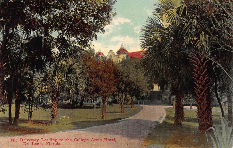 Driveway to the College Arms Hotel, De Land, Florida, Early Postcard, Unused