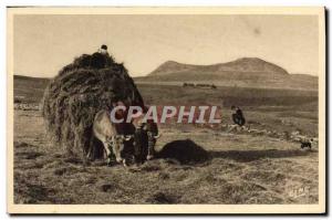 Old Postcard Folklore Haying on Highlands