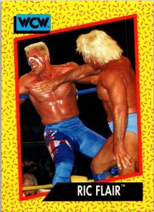 1991 WCW Wrestling Card Ric Flair sk21161