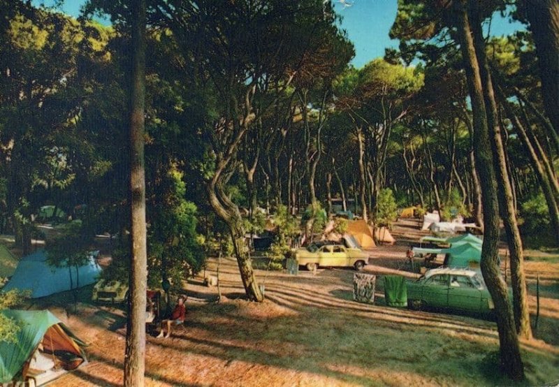 Viareggio Camping Tent Italian Postcard