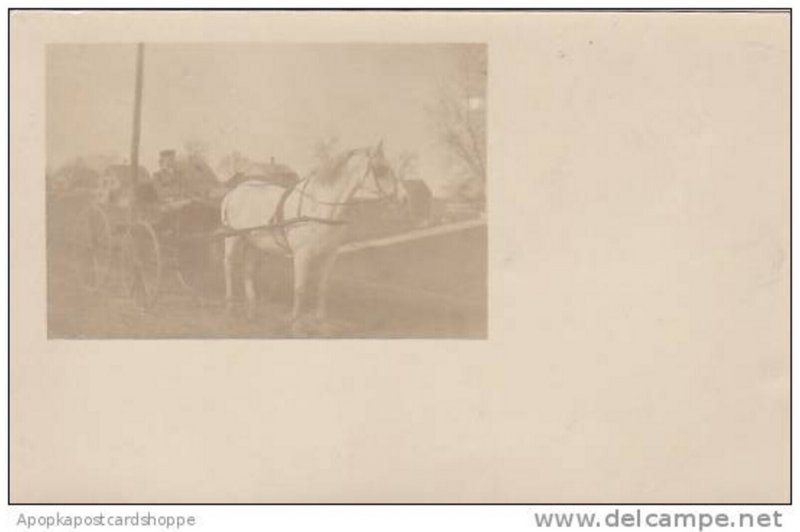 Horse & Carriage With Woman Real Photo