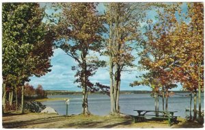 Lake George Provincial Park, New Brunswick, Vintage Chrome Postcard