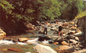 Tennessee TN   KIDS On Rocks~LITTLE PIGEON RIVER Great Smoky Mountains  Postcard