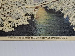 Vintage Postcard Where The Summer Trail Divides Standish Michigan Linen  660