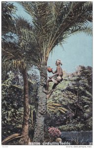 INDIA, 1900-1910´s; Native Drawing Toddy