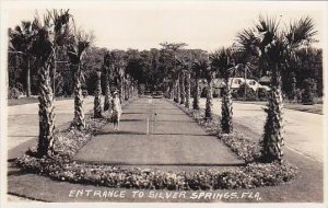 Florida Silver Springs Entrance Real Photo RPPC